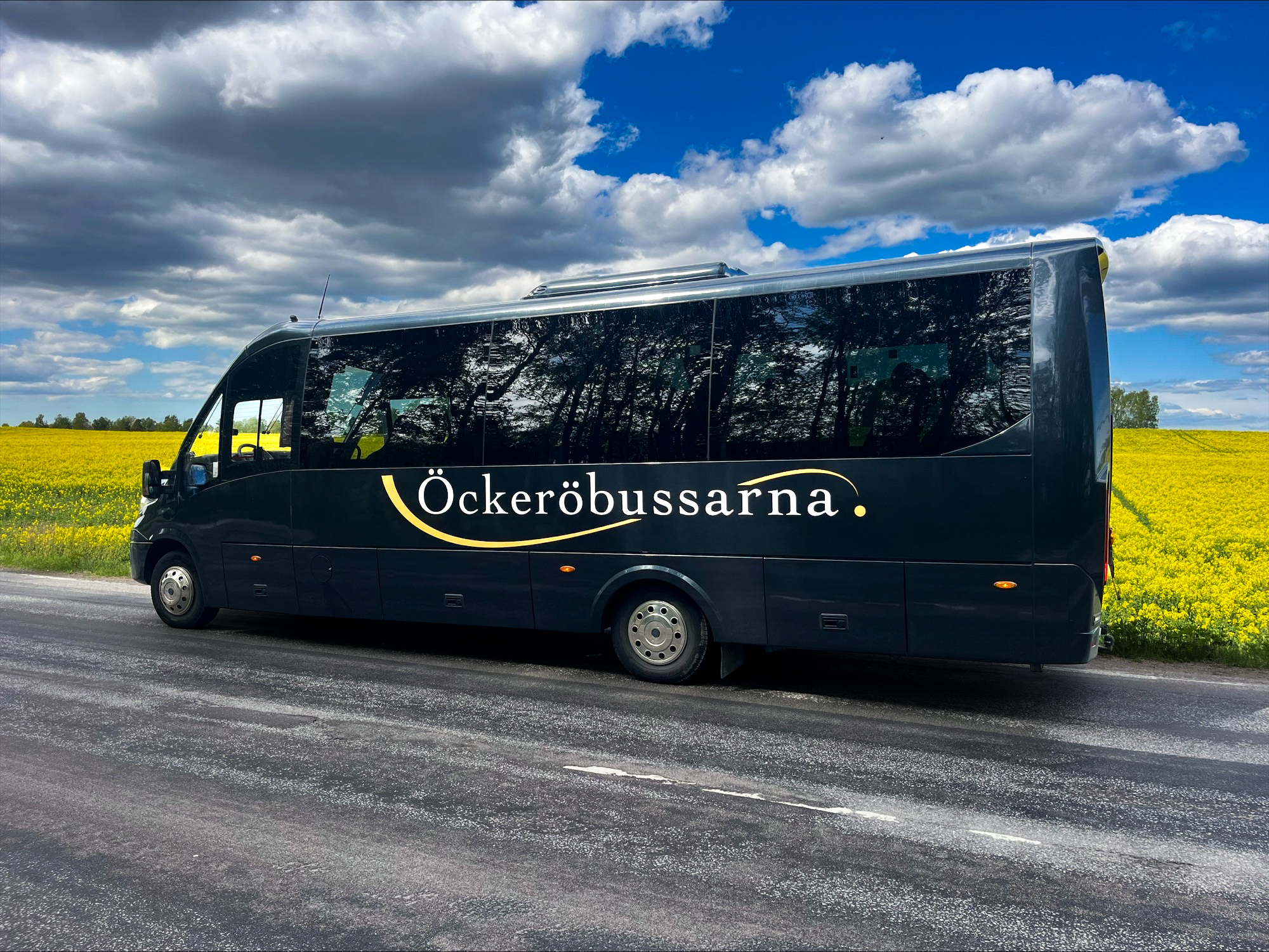Öckeröbussarnas minibuss framför ett gult rapsfält