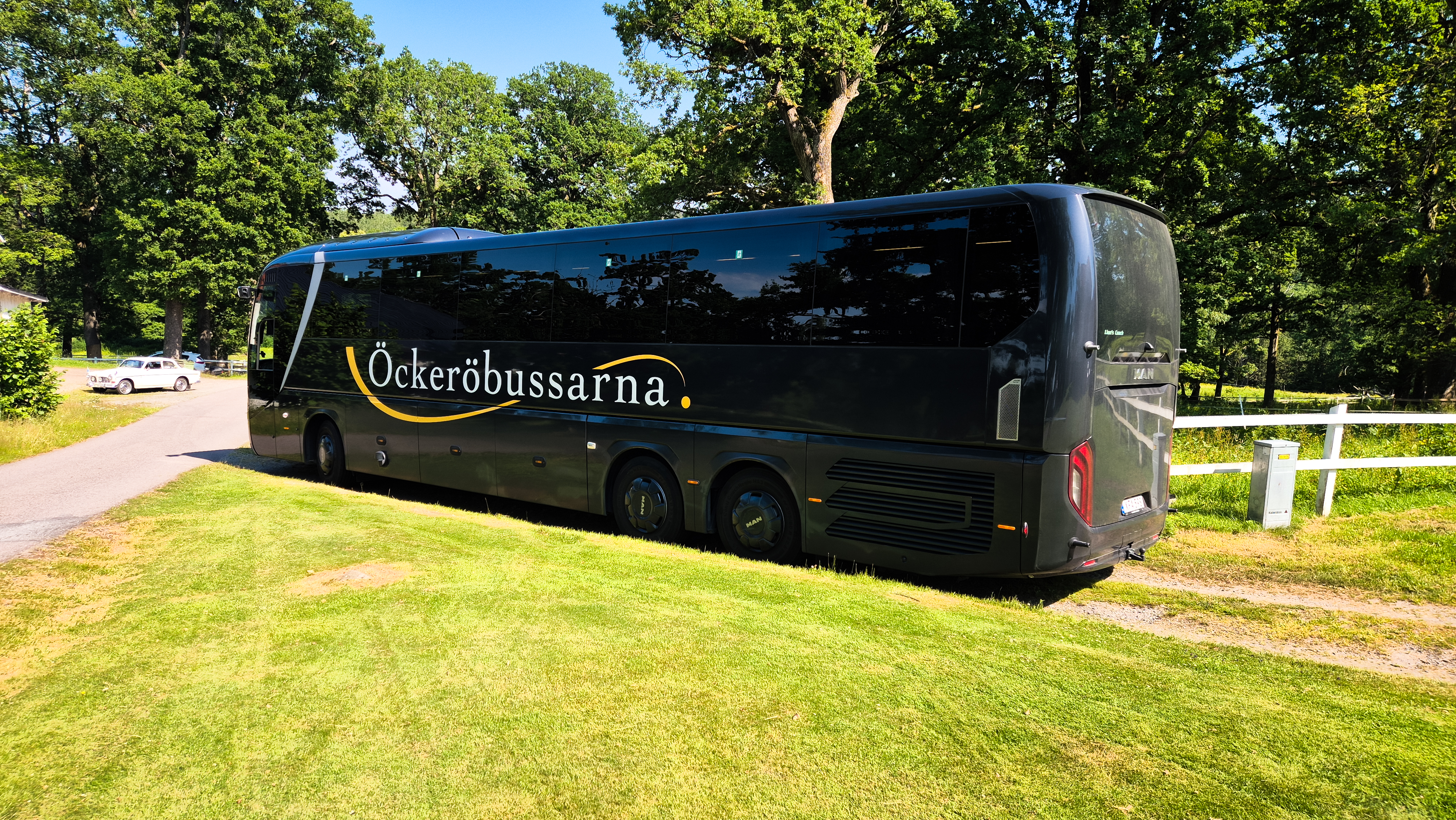 Öckeröbussarnas turistbuss på en solig gräsmatta bland höga träd