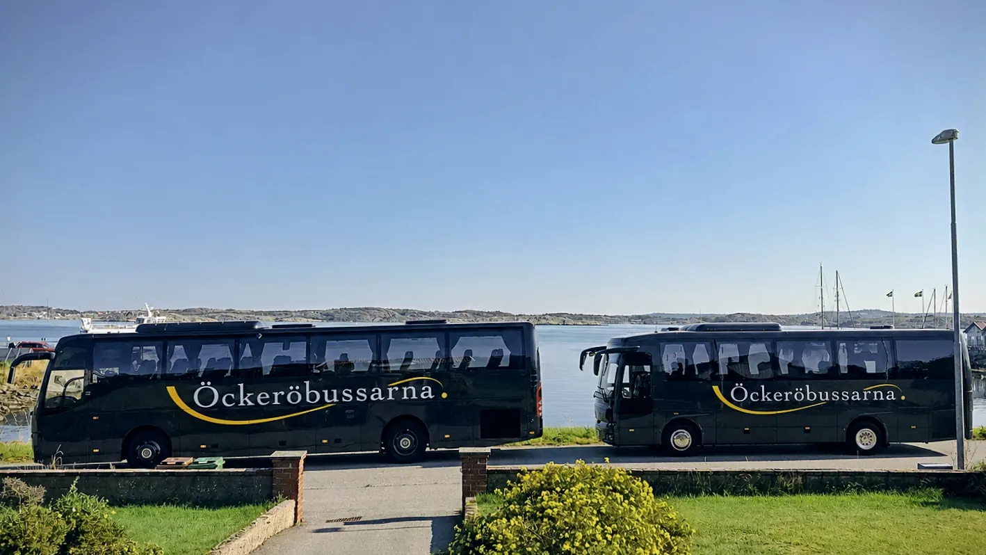 Två av Öckeröbussarnas bussar parkerade vid vattnet