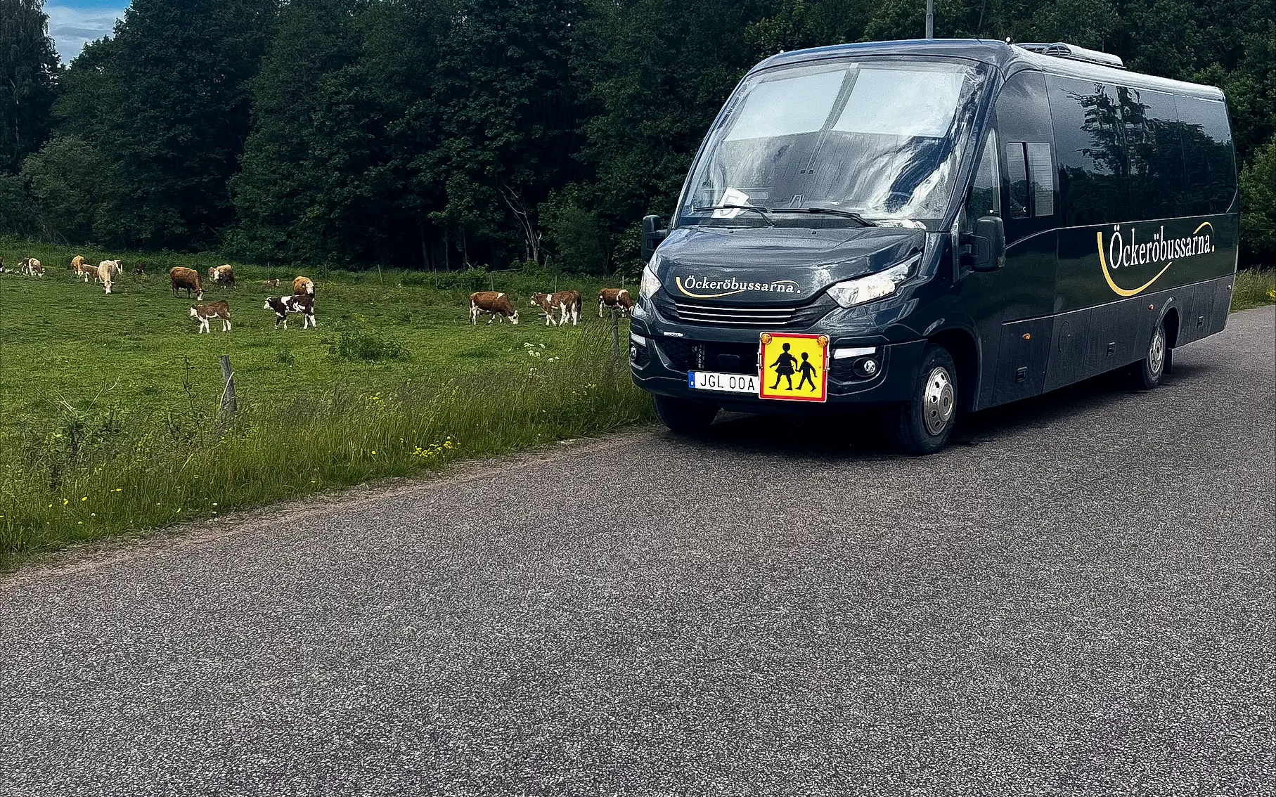 Öckeröbussarnas minibuss på en landsväg vid en hage med kor