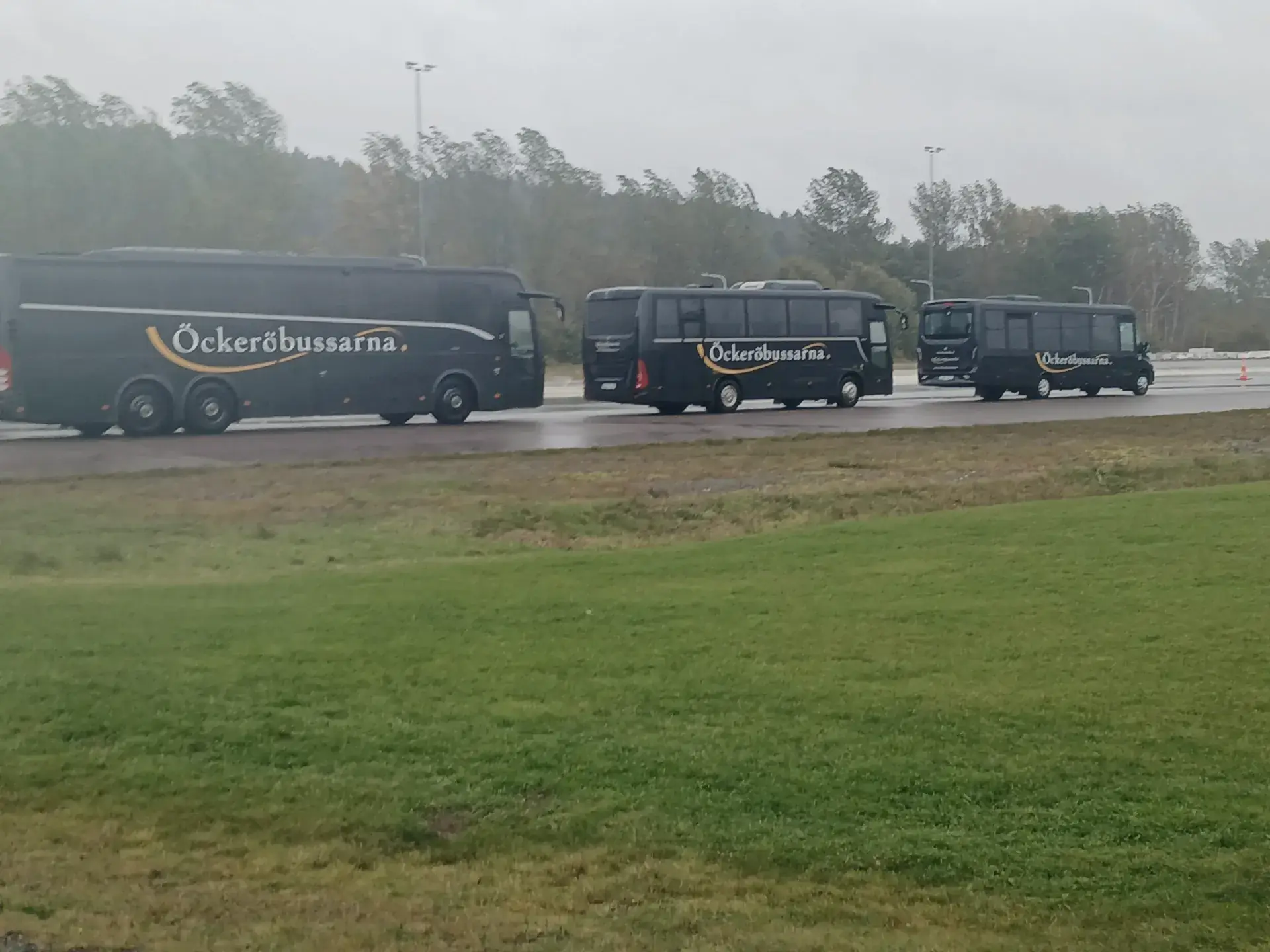 Tre av Öckeröbussarnas bussar på rad en morgon i dimma