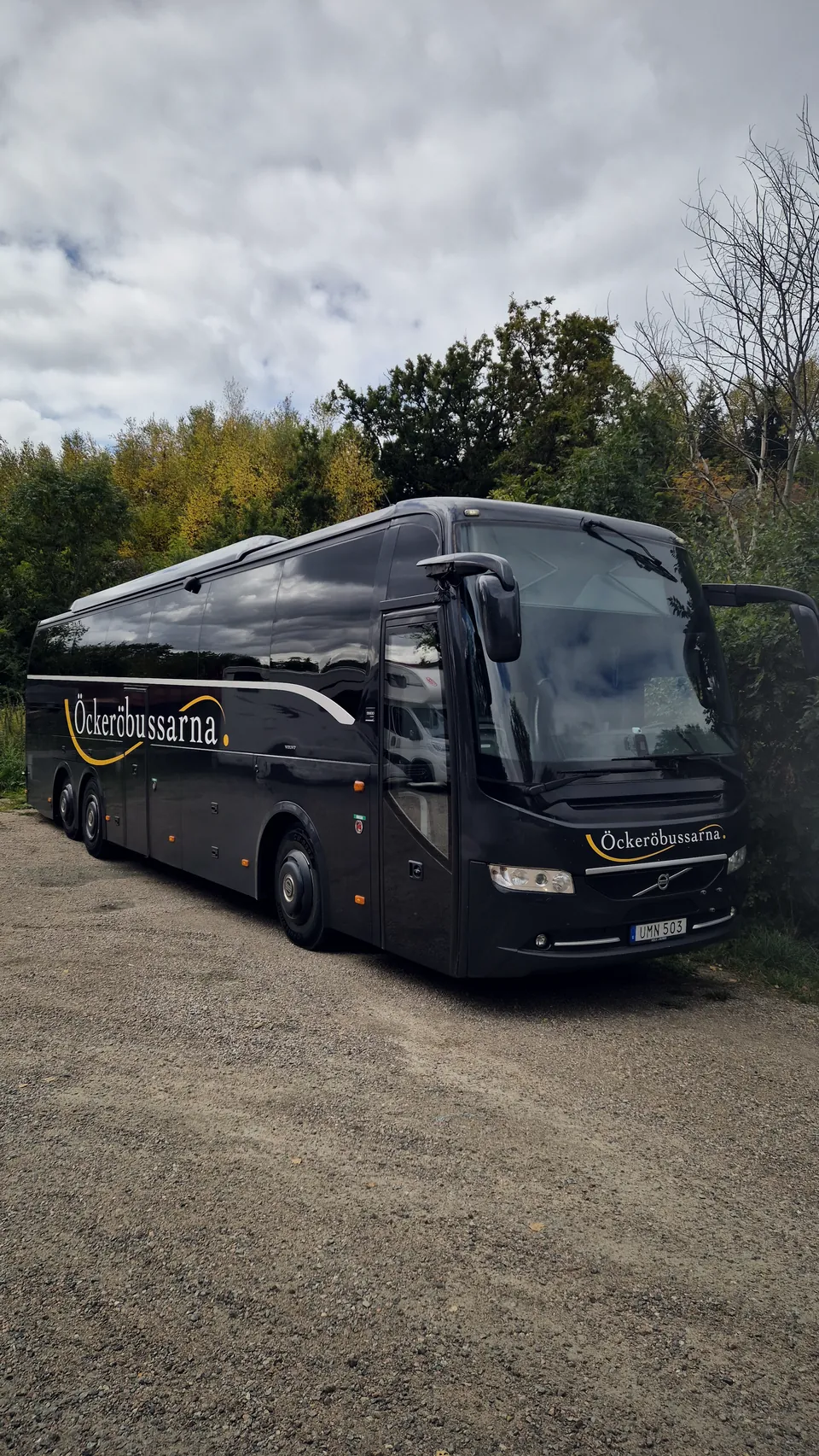 Öckeröbussarnas buss bland träd